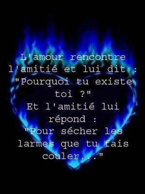la conversation entre l amour et l amitie